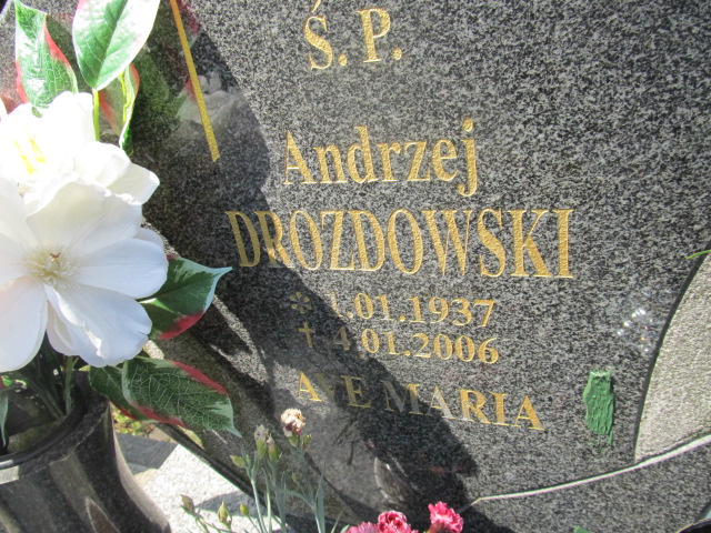 Andrzej Drozdowski 1937 Kamienna Góra Gmina Miejska - Grobonet - Wyszukiwarka osób pochowanych