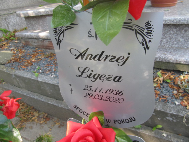 Helena Ligęza 1943 Kamienna Góra Gmina Miejska - Grobonet - Wyszukiwarka osób pochowanych