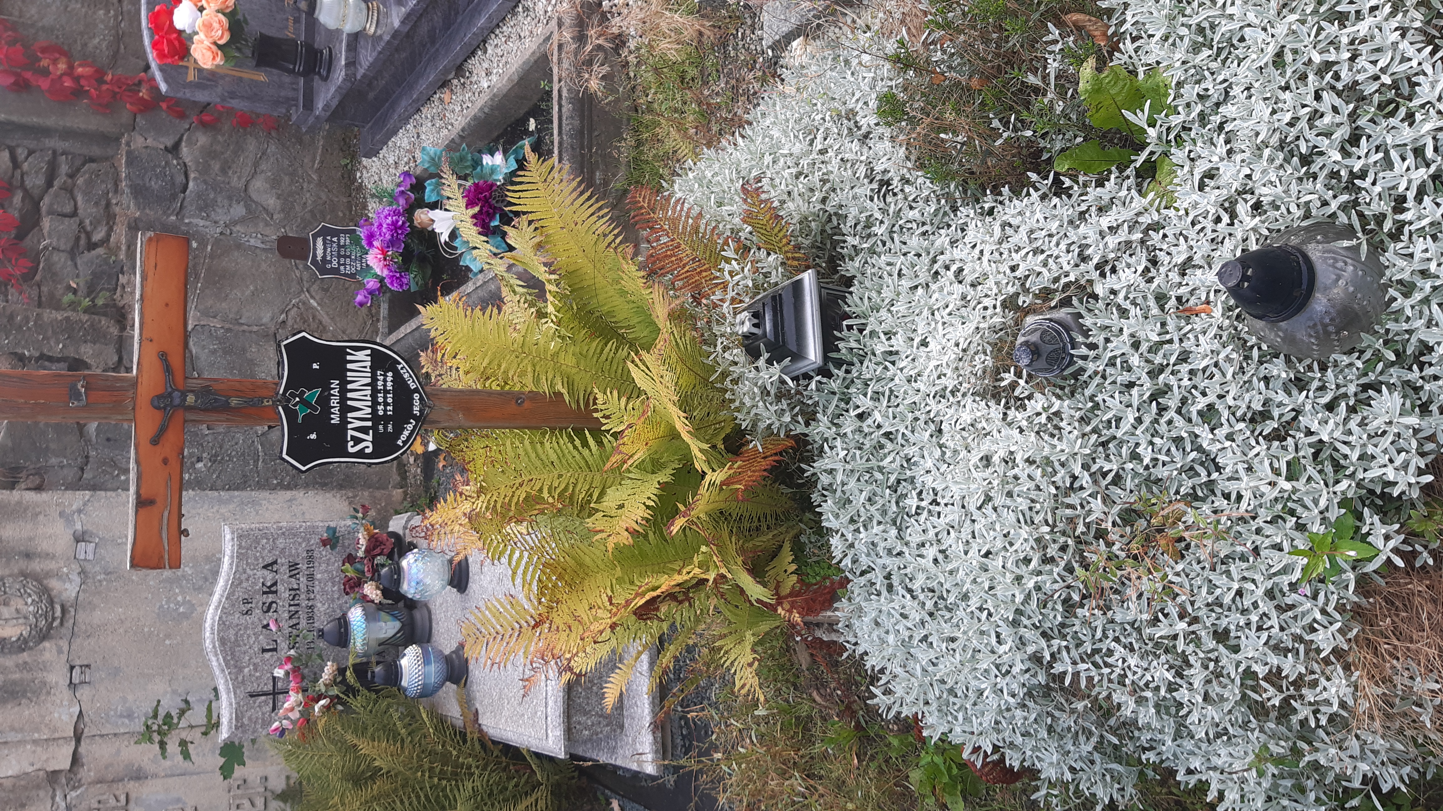 Marian Szymaniak 1947 Kamienna Góra Gmina Miejska - Grobonet - Wyszukiwarka osób pochowanych