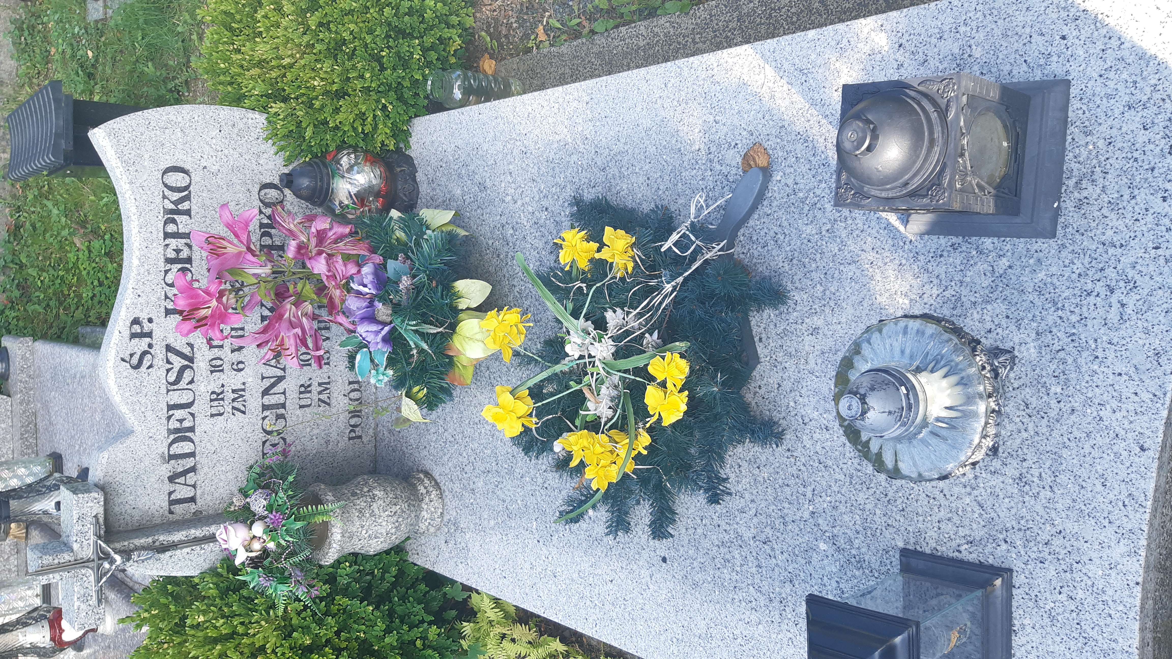 Grób Tadeusz Ksepko