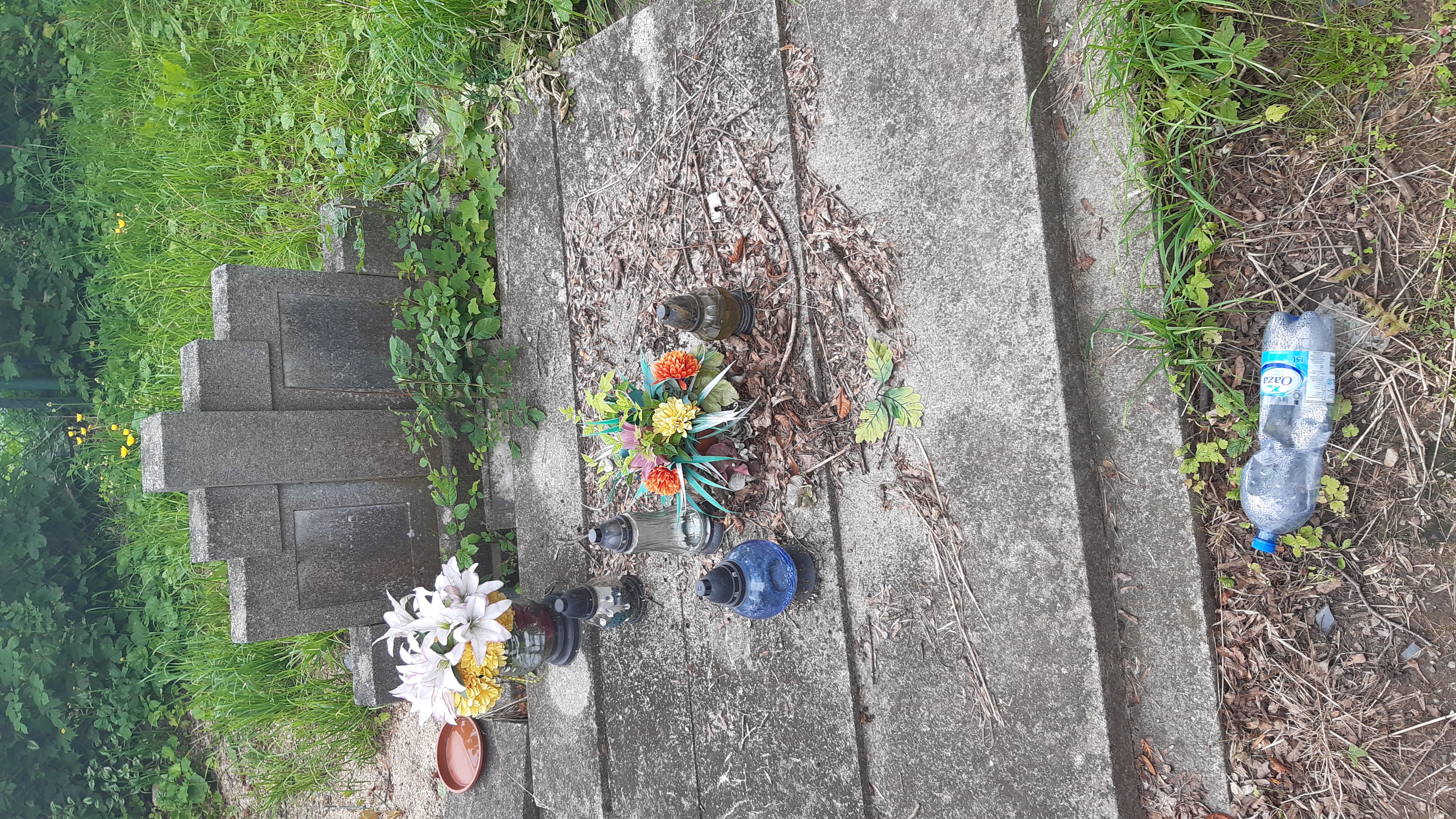 Zofia Strihafka 1899 Kamienna Góra Gmina Miejska - Grobonet - Wyszukiwarka osób pochowanych