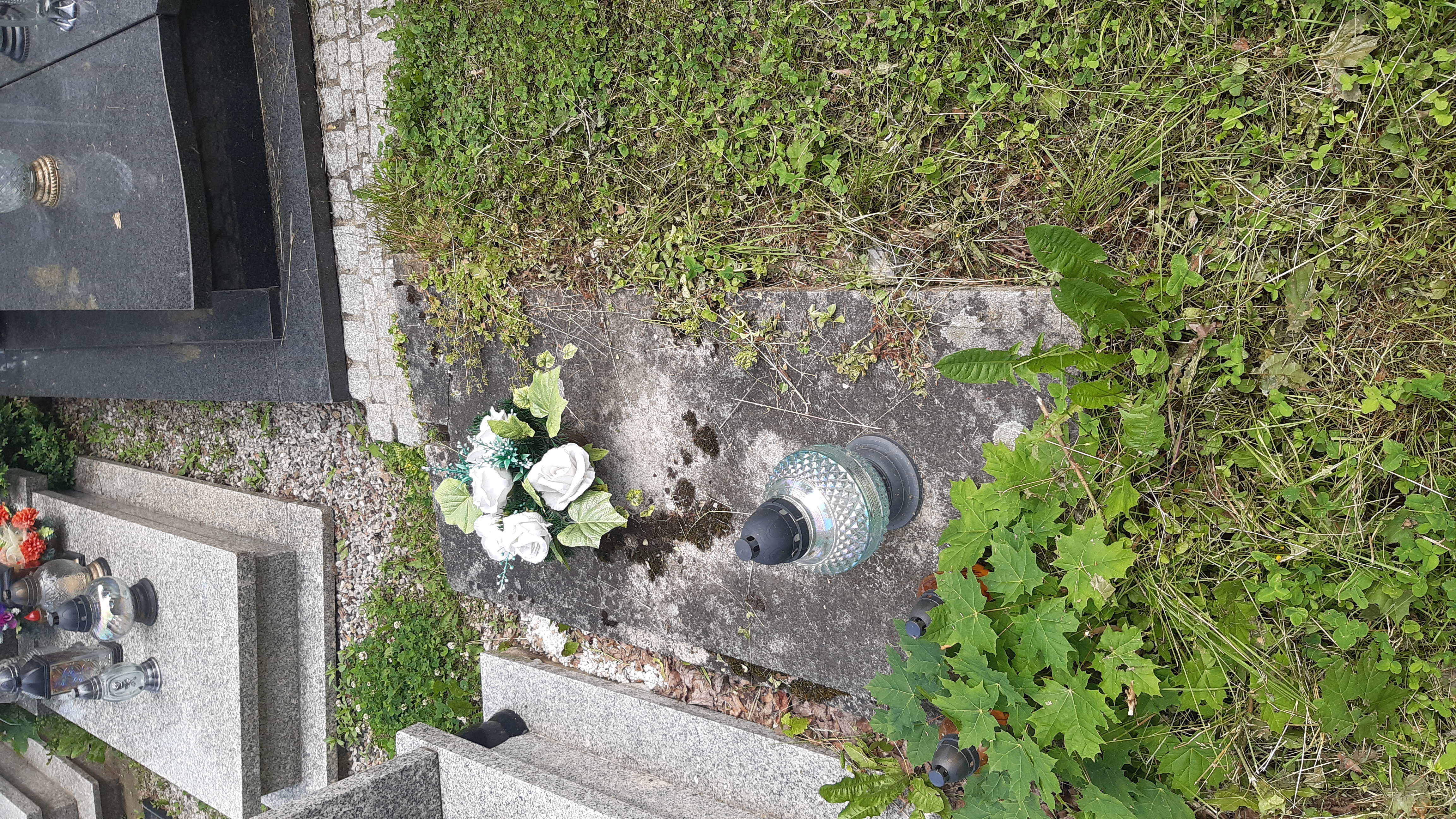 Władysław Werner 1880 Kamienna Góra Gmina Miejska - Grobonet - Wyszukiwarka osób pochowanych