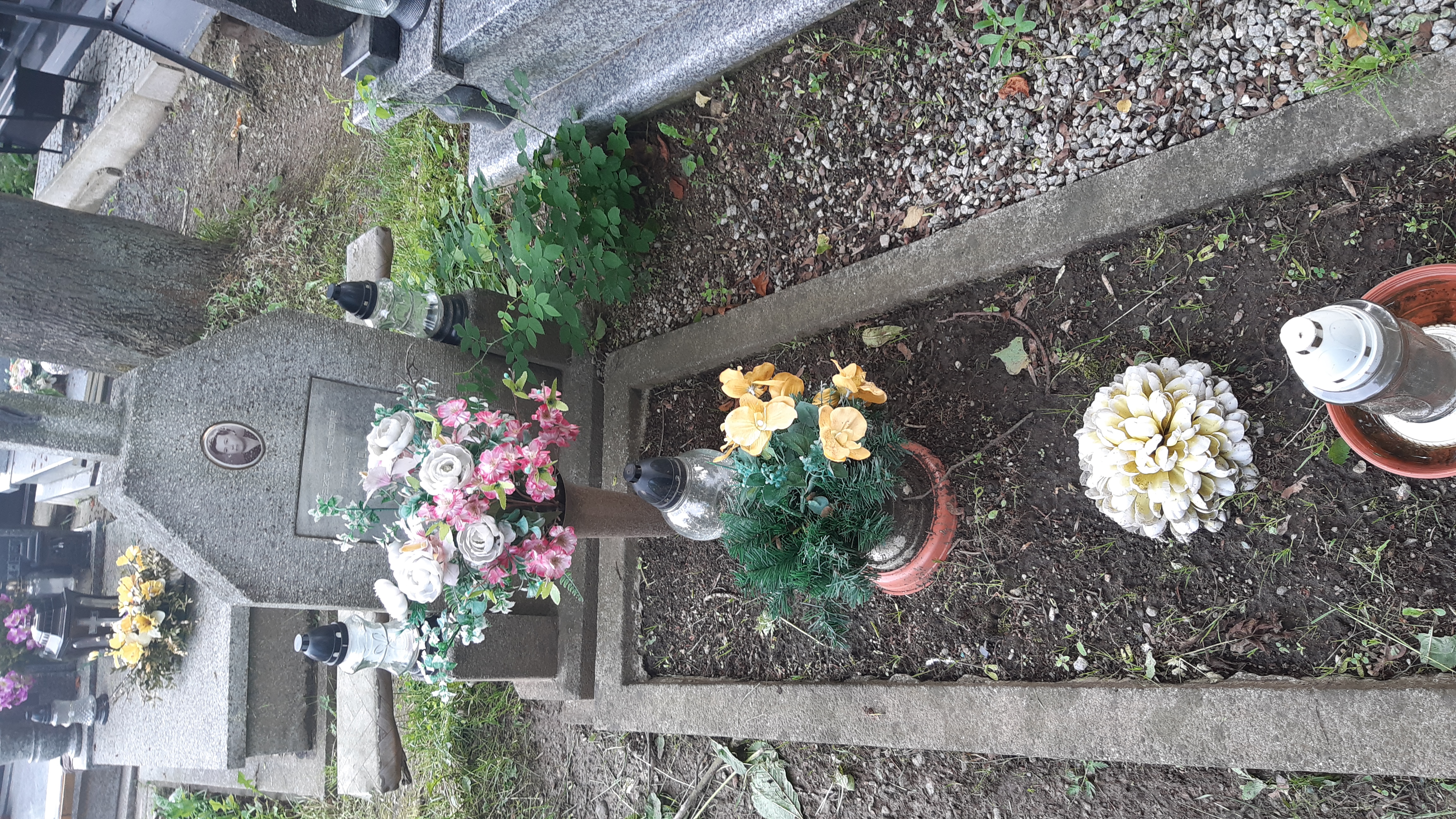 Zofia Szurek 1915 Kamienna Góra Gmina Miejska - Grobonet - Wyszukiwarka osób pochowanych