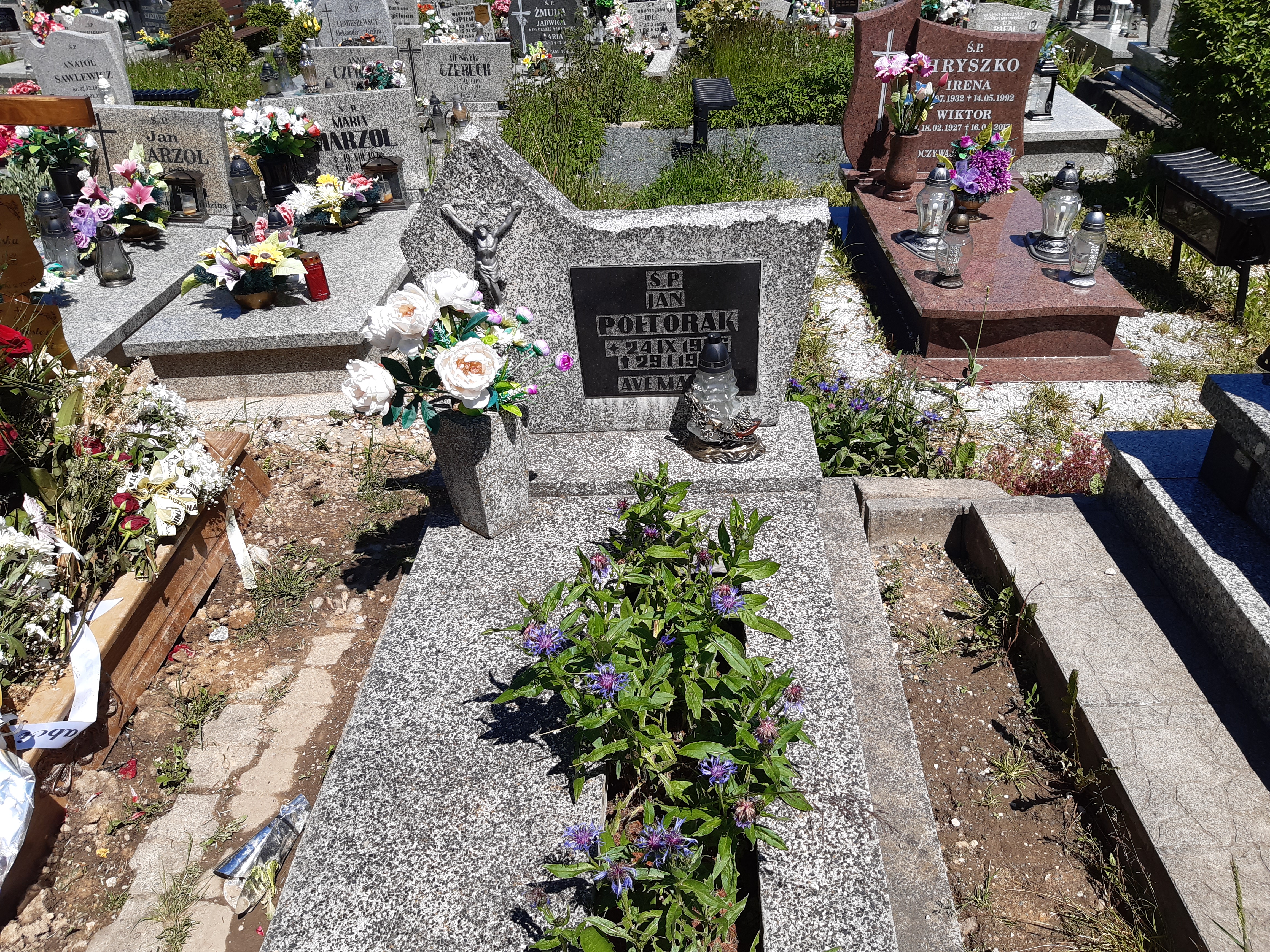 Jan Franciszek Półtorak 1926 Kamienna Góra Gmina Miejska - Grobonet - Wyszukiwarka osób pochowanych