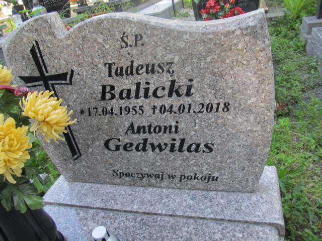 Tadeusz Balicki 1955 Kamienna Góra Gmina Miejska - Grobonet - Wyszukiwarka osób pochowanych