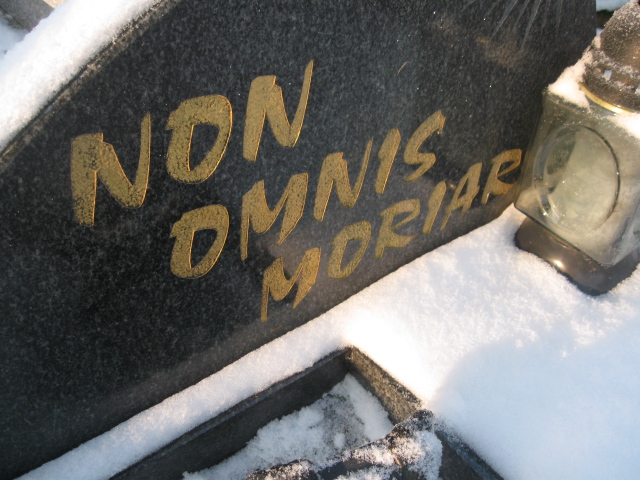 Zofia Szkółka 1905 Kamienna Góra Gmina Miejska - Grobonet - Wyszukiwarka osób pochowanych