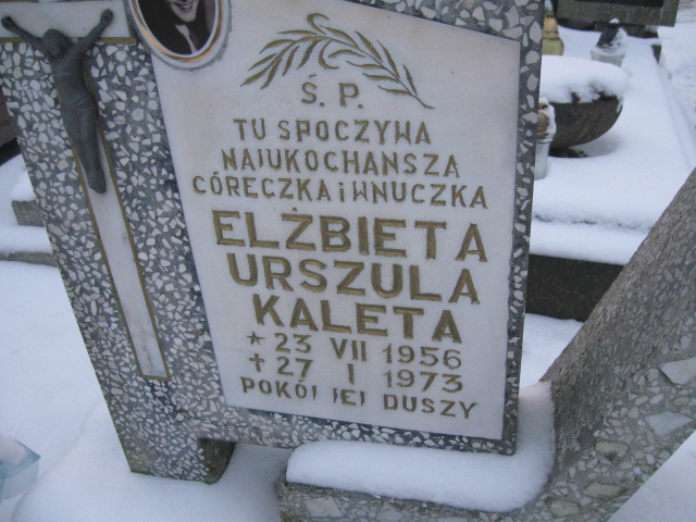 Stefan Kaleta 1928 Kamienna Góra Gmina Miejska - Grobonet - Wyszukiwarka osób pochowanych