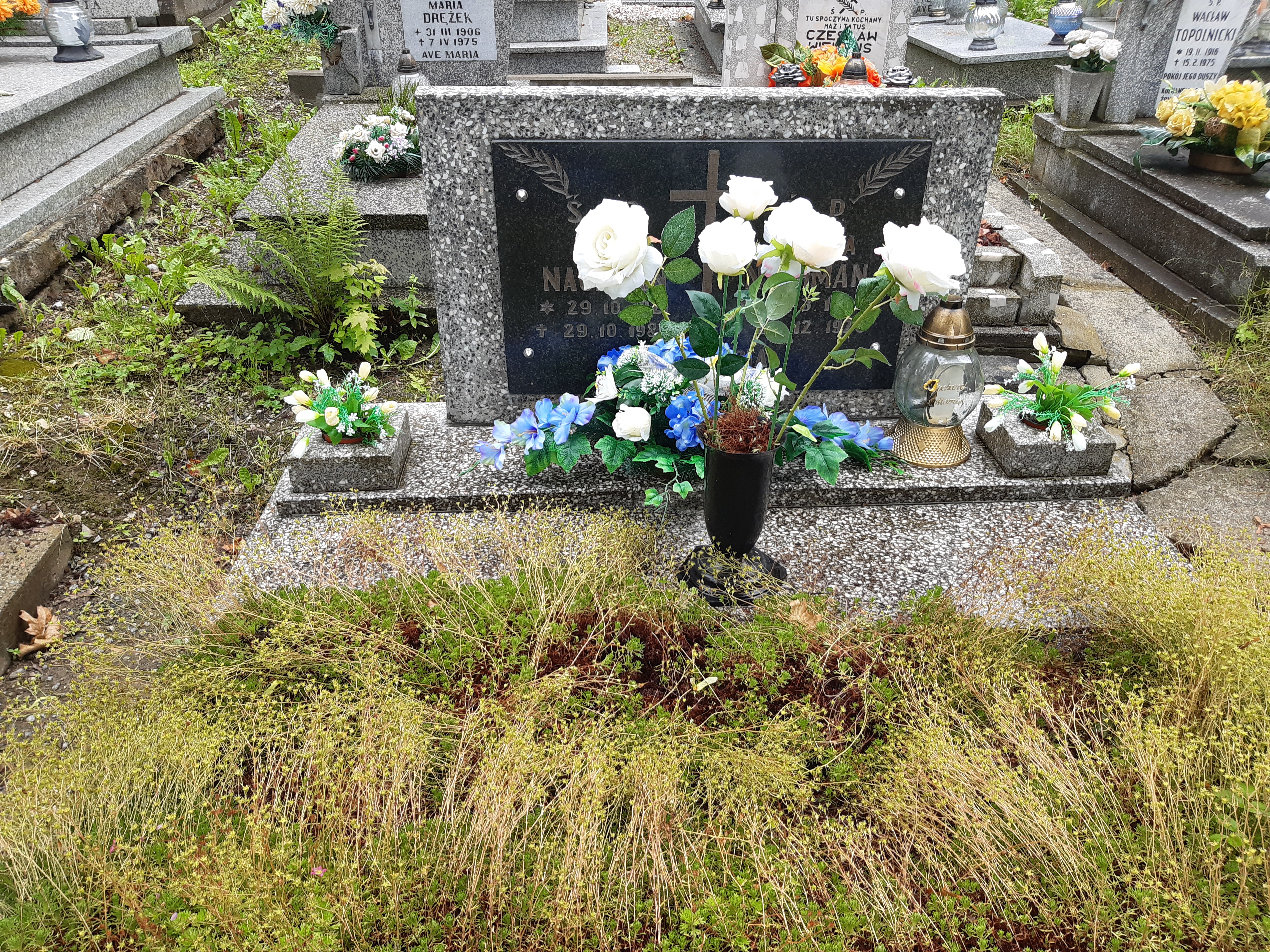 Grób Halina Nachman