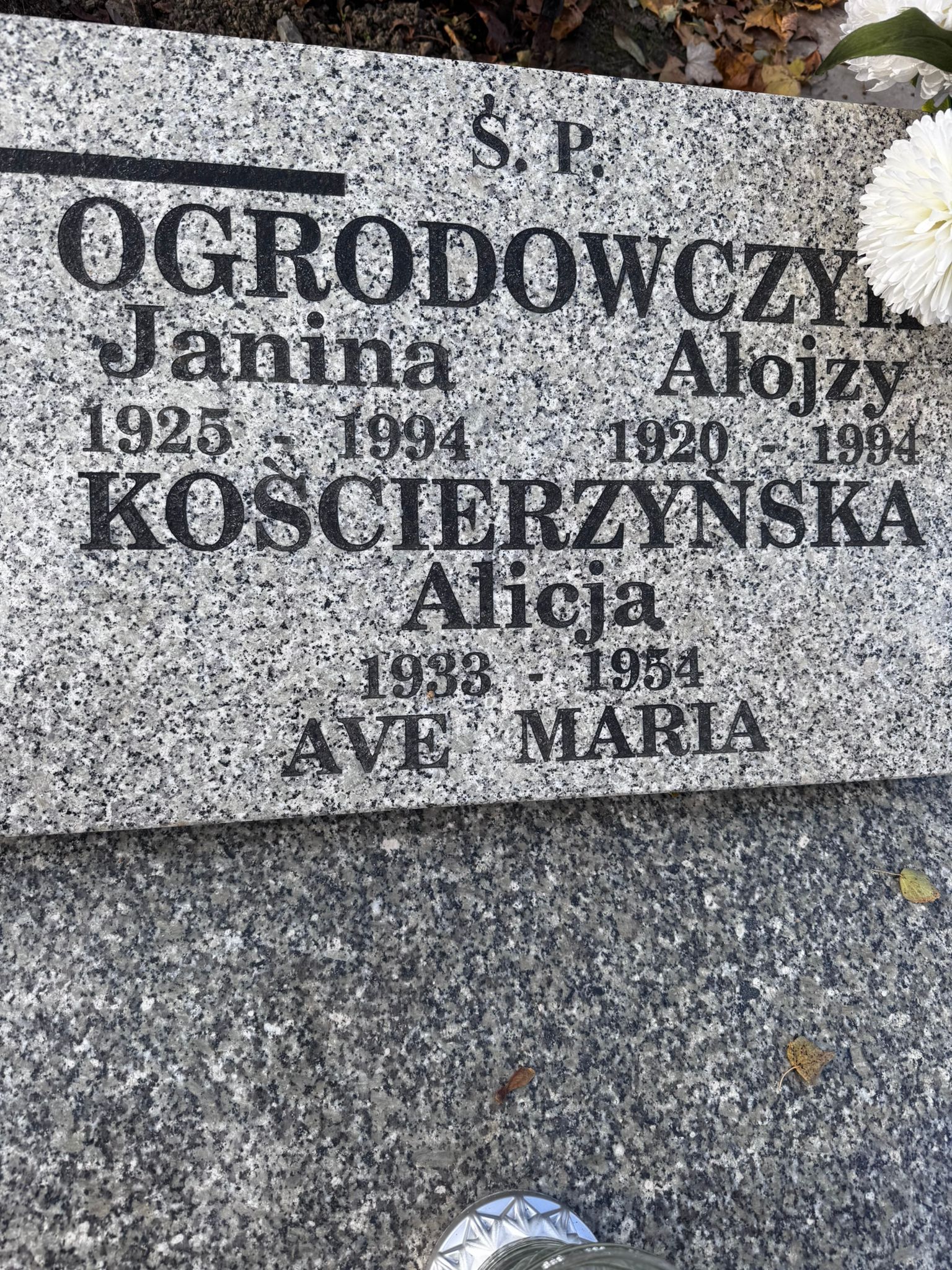 Alojzy Ogrodowczyk 1920 Kamienna Góra Gmina Miejska - Grobonet - Wyszukiwarka osób pochowanych