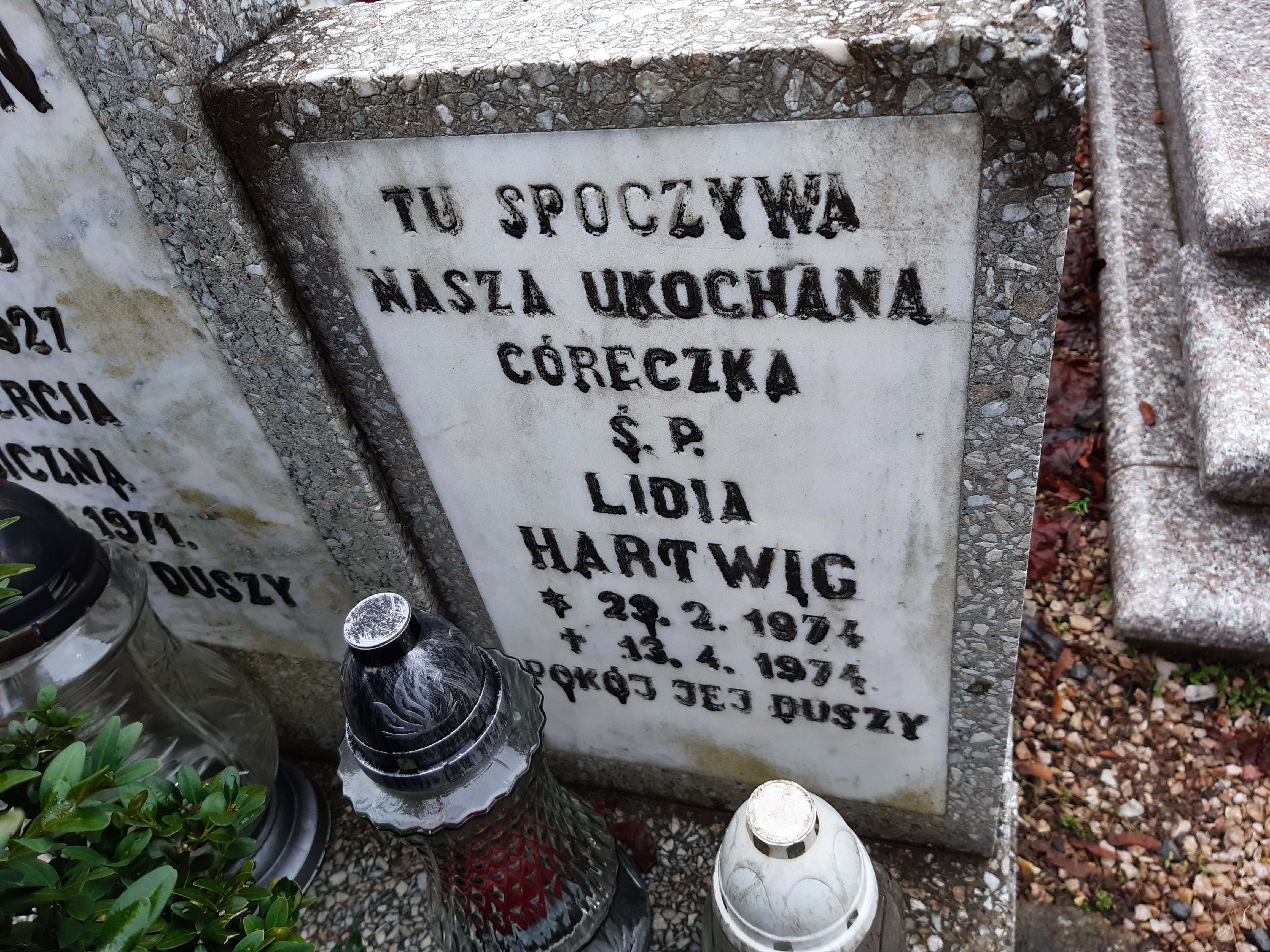 Henryk Hartwig 1927 Kamienna Góra Gmina Miejska - Grobonet - Wyszukiwarka osób pochowanych