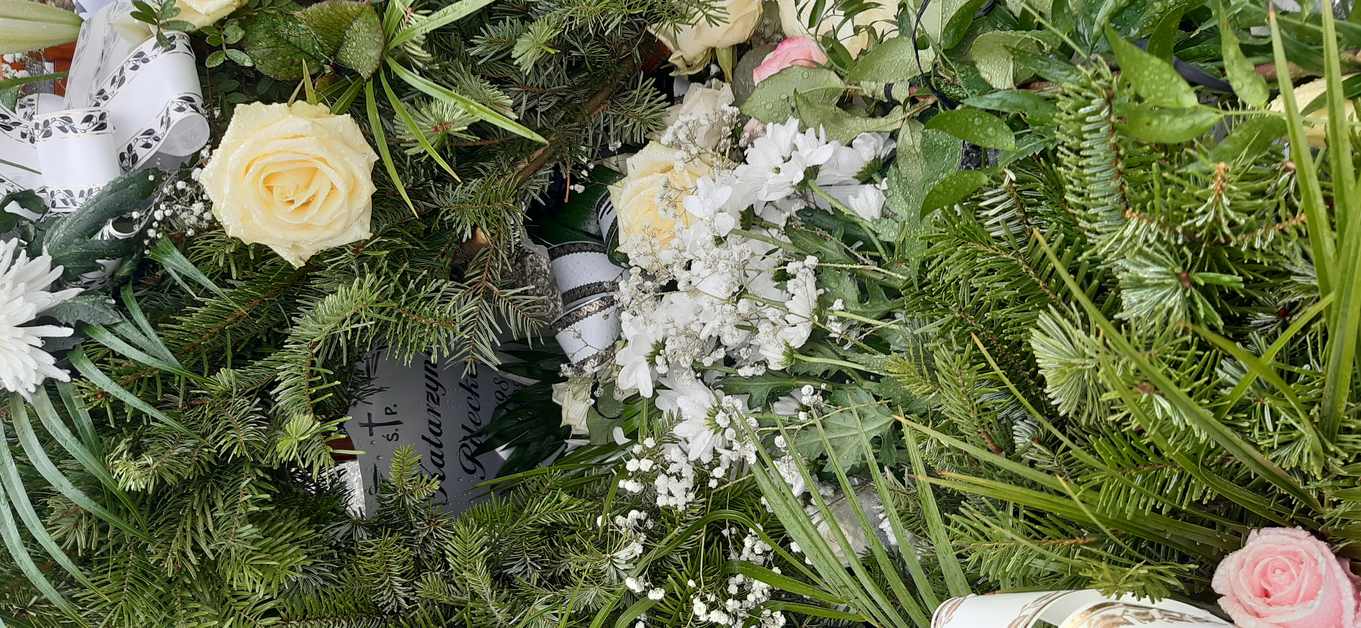 Katarzyna Pilecka 1984 Kamienna Góra Gmina Miejska - Grobonet - Wyszukiwarka osób pochowanych