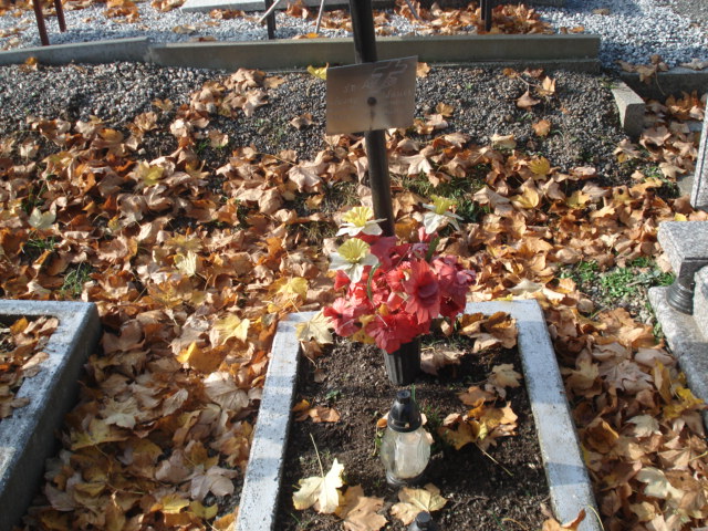 Grób Wawrzyniec Wasiek