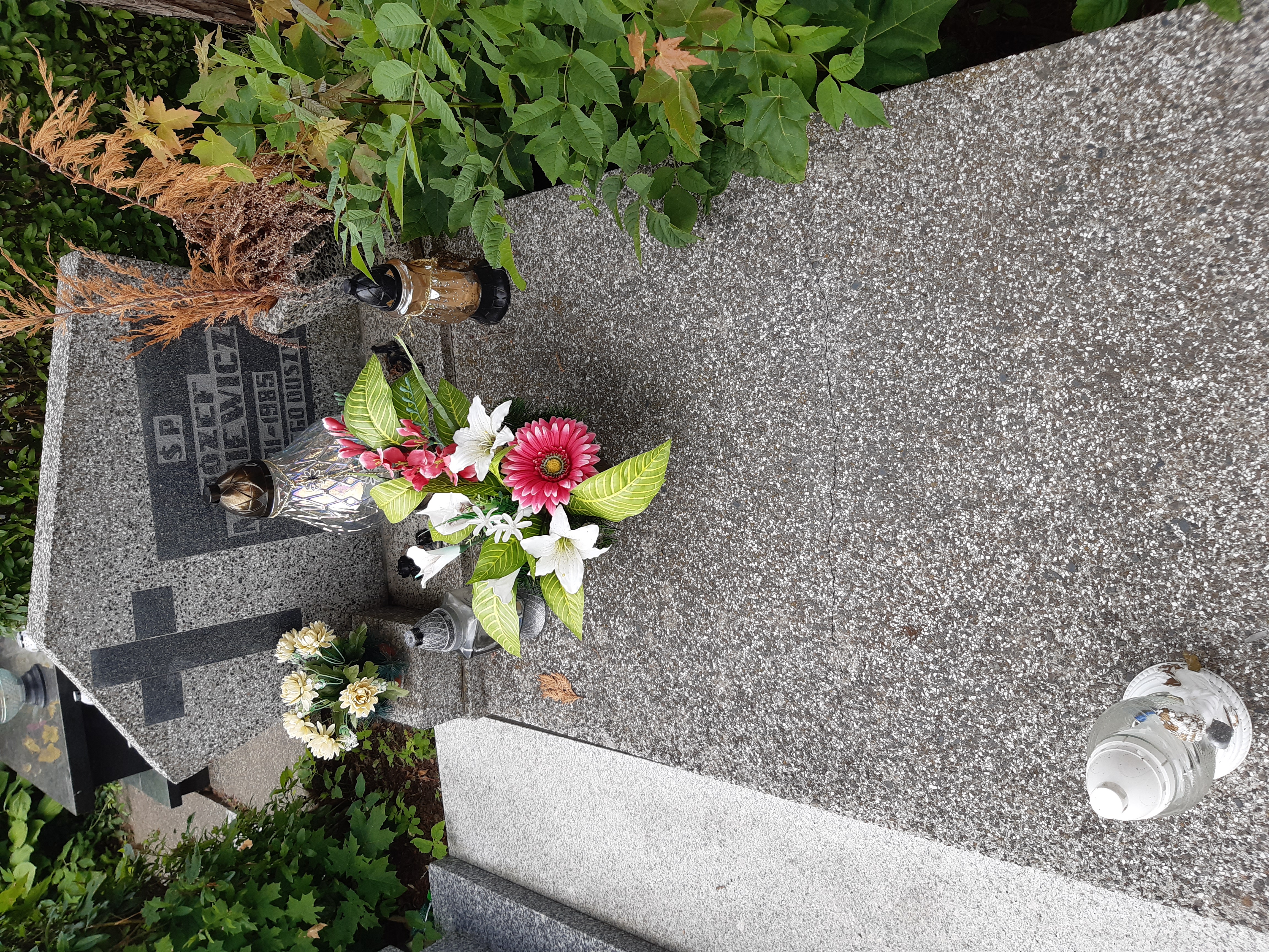 Józef Misiewicz 1931 Kamienna Góra Gmina Miejska - Grobonet - Wyszukiwarka osób pochowanych