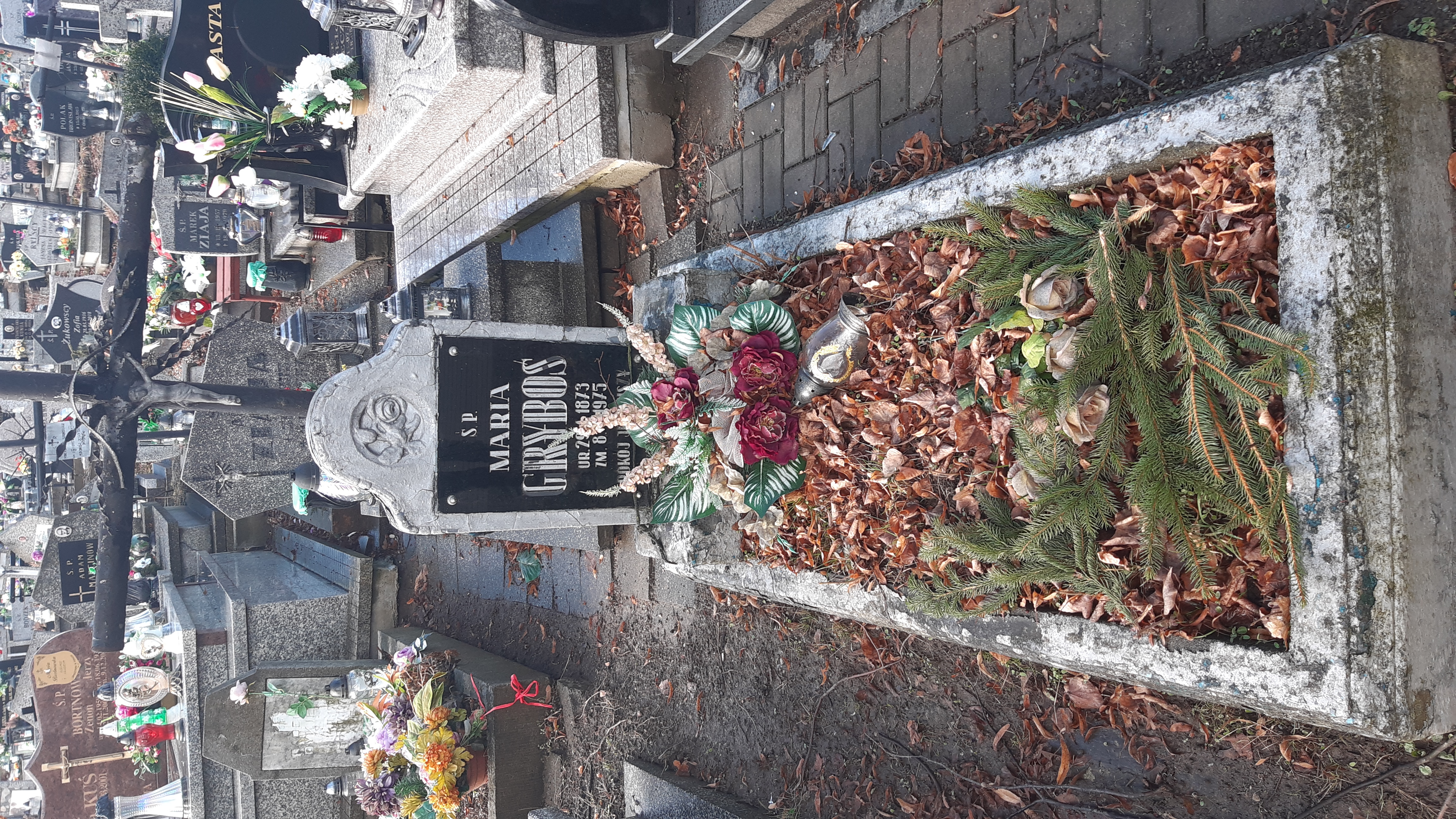 Maria Gryboś 1873 Kamienna Góra Gmina Miejska - Grobonet - Wyszukiwarka osób pochowanych