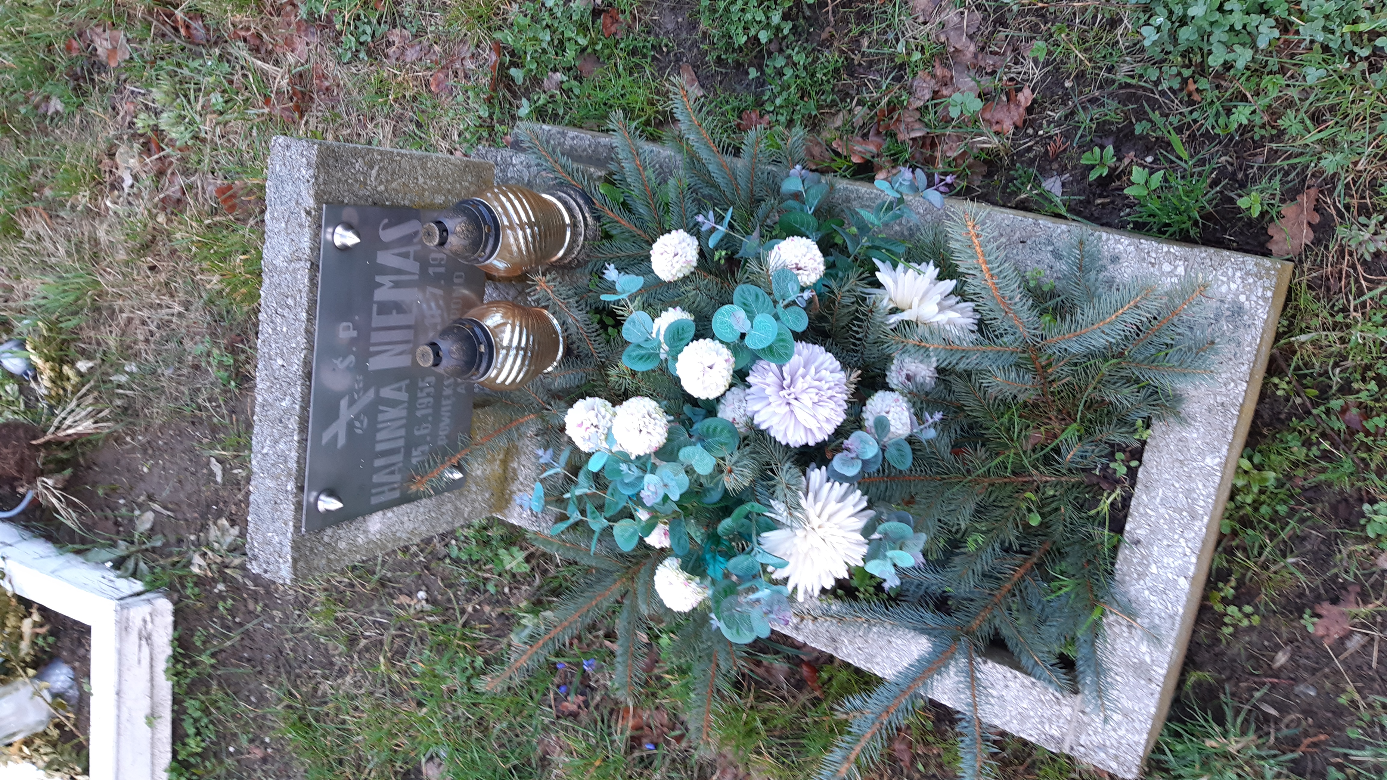 Halina Niemas 1955 Kamienna Góra Gmina Miejska - Grobonet - Wyszukiwarka osób pochowanych