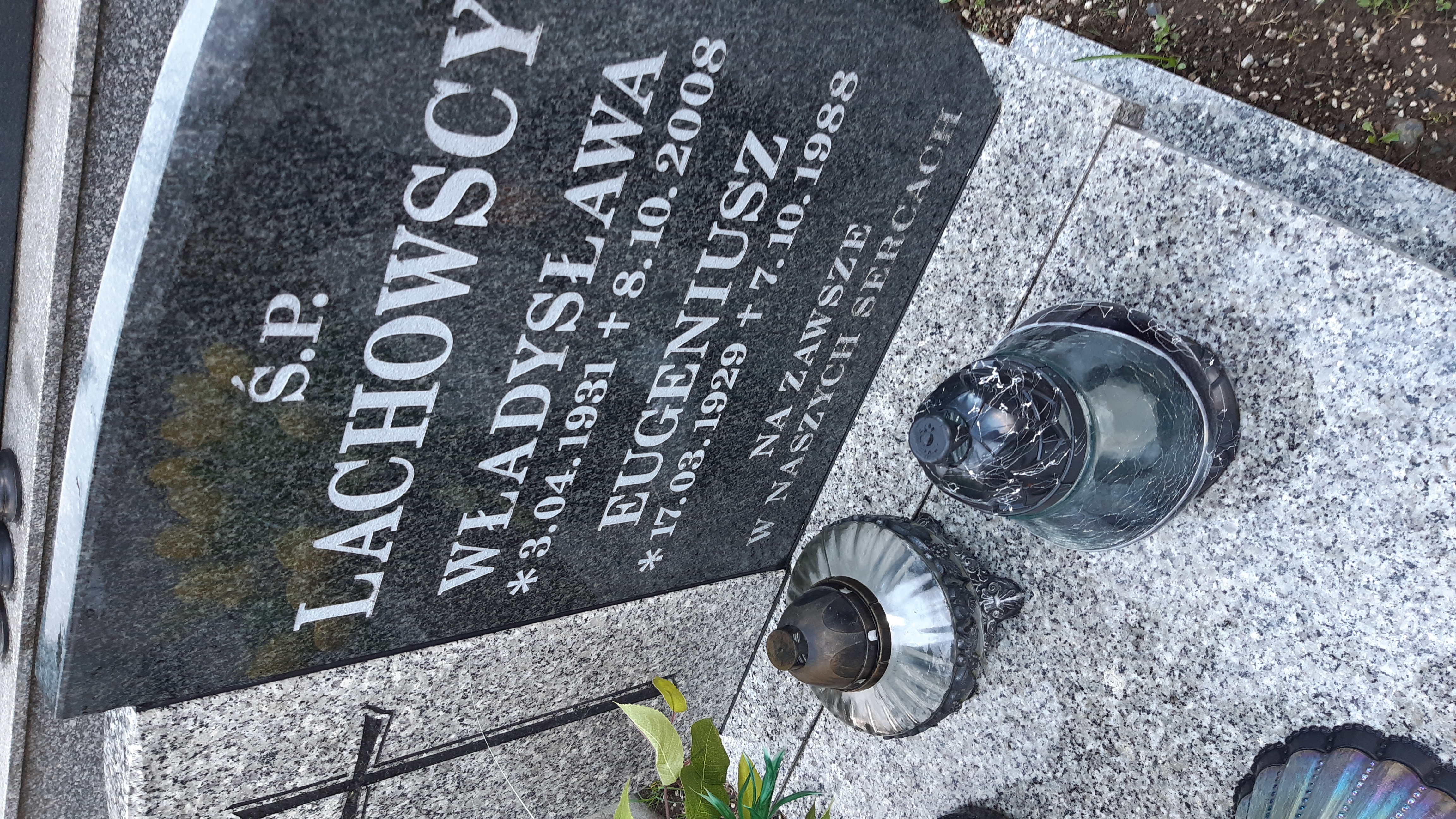 Władysława Lachowska 1931 Kamienna Góra Gmina Miejska - Grobonet - Wyszukiwarka osób pochowanych