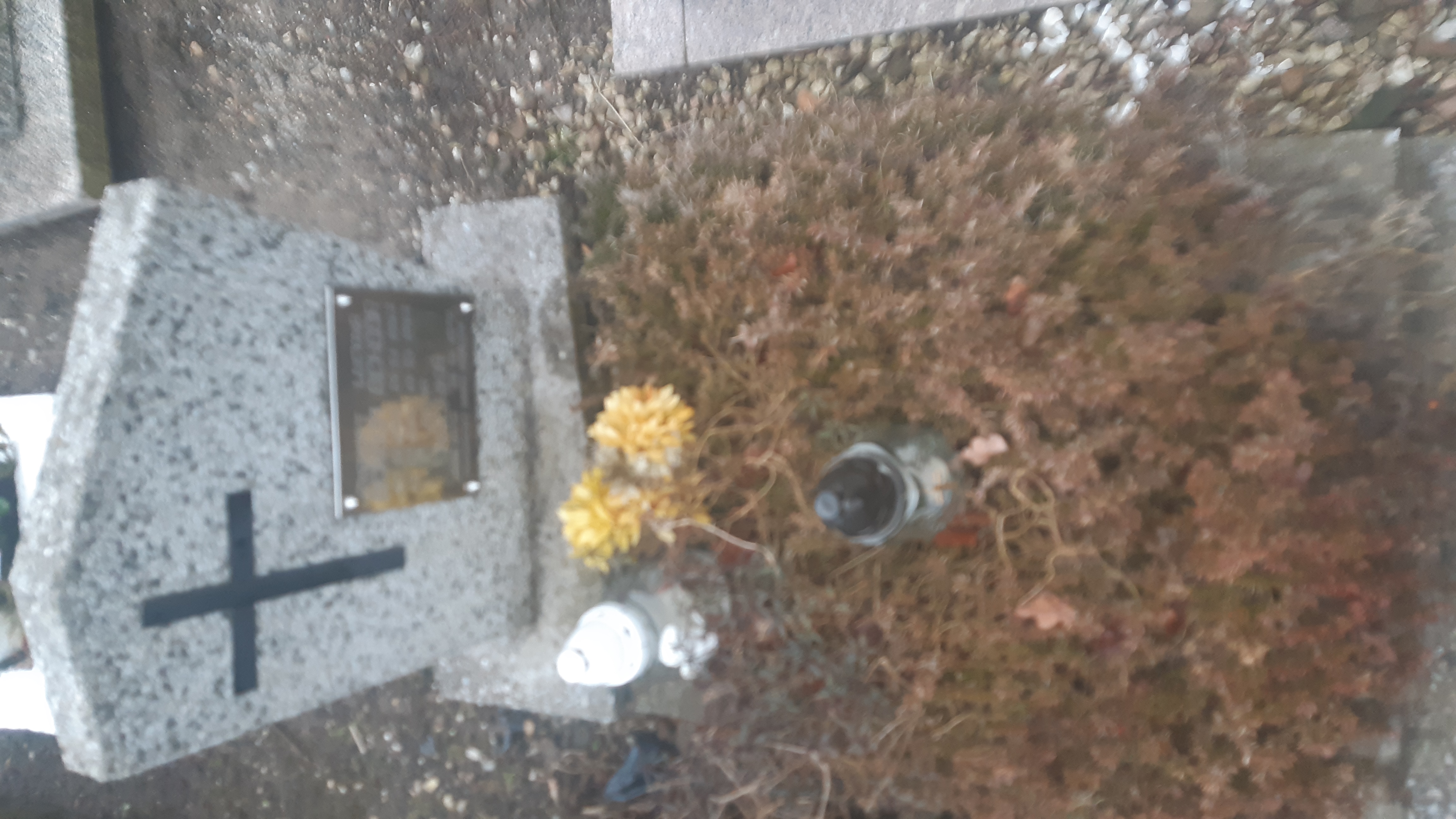 Zygmunt Ochoda 1962 Kamienna Góra Gmina Miejska - Grobonet - Wyszukiwarka osób pochowanych