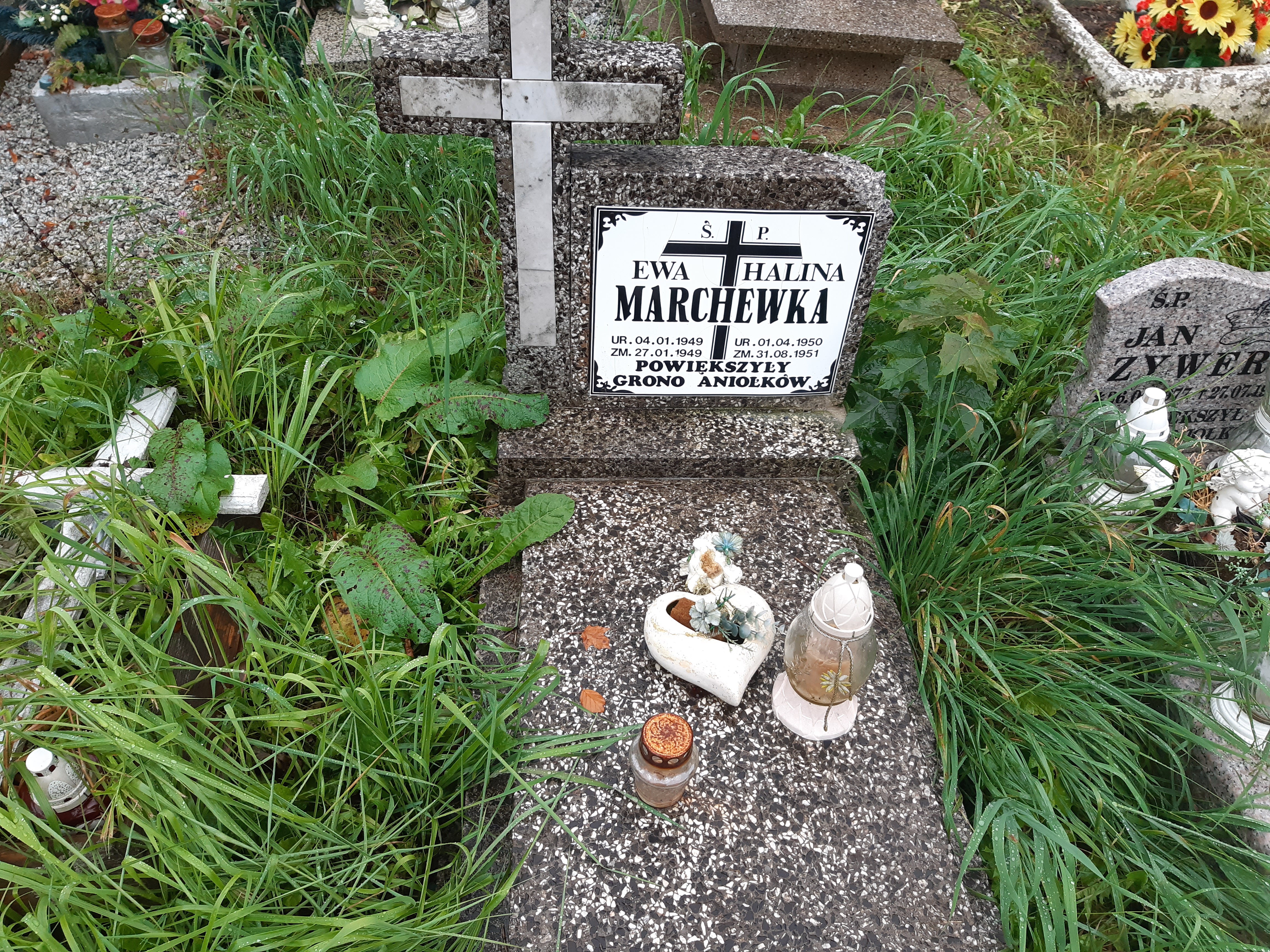 Ewa Marchewka 1949 Kamienna Góra Gmina Miejska - Grobonet - Wyszukiwarka osób pochowanych