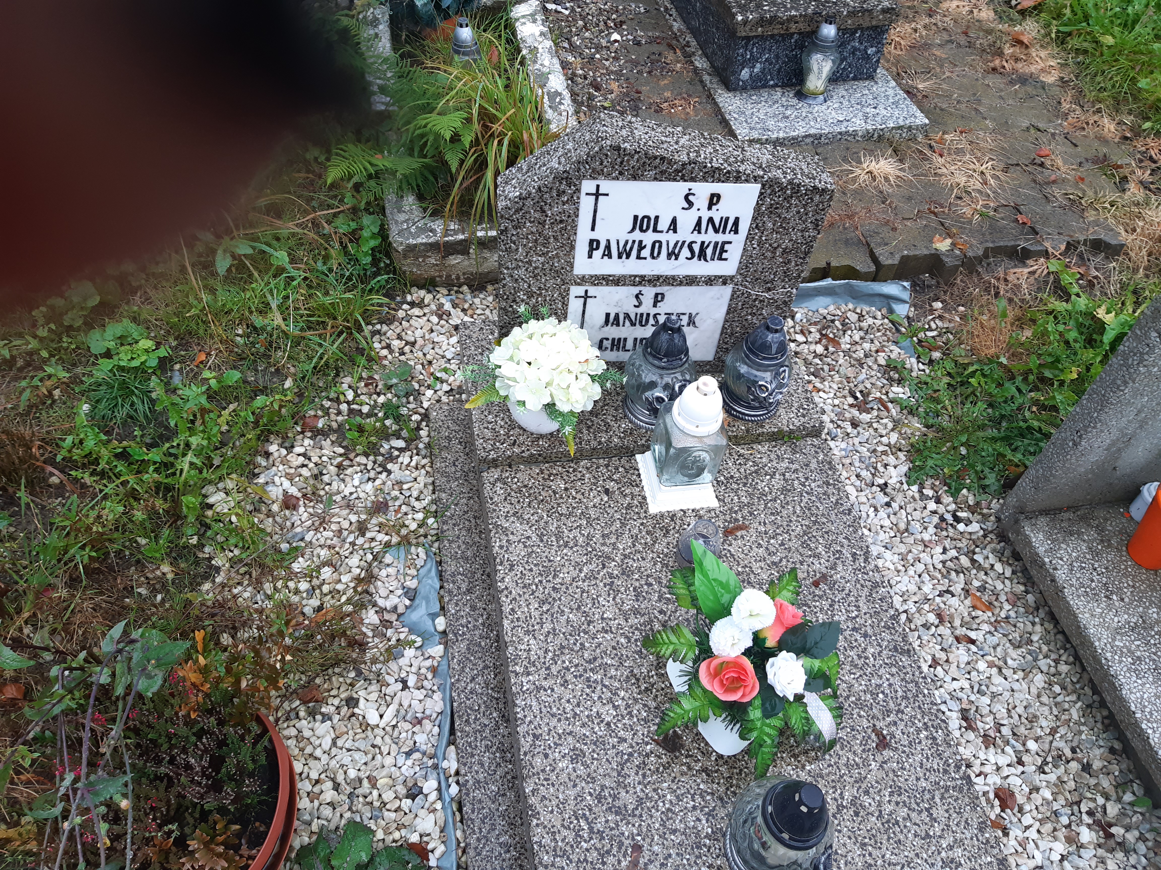 Janusz Chlipala 1899 Kamienna Góra Gmina Miejska - Grobonet - Wyszukiwarka osób pochowanych