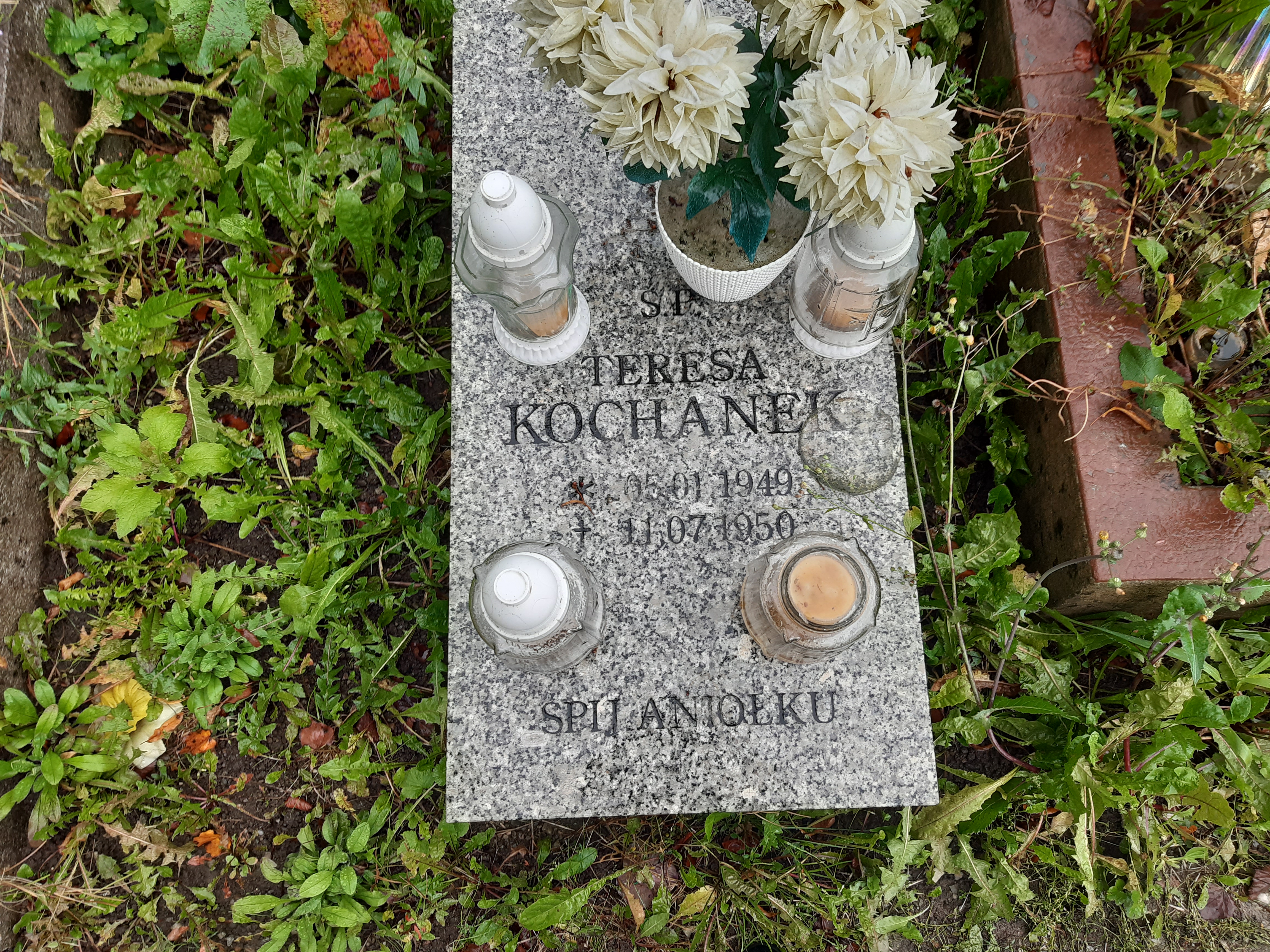 Teresa Kochanek 1949 Kamienna Góra Gmina Miejska - Grobonet - Wyszukiwarka osób pochowanych