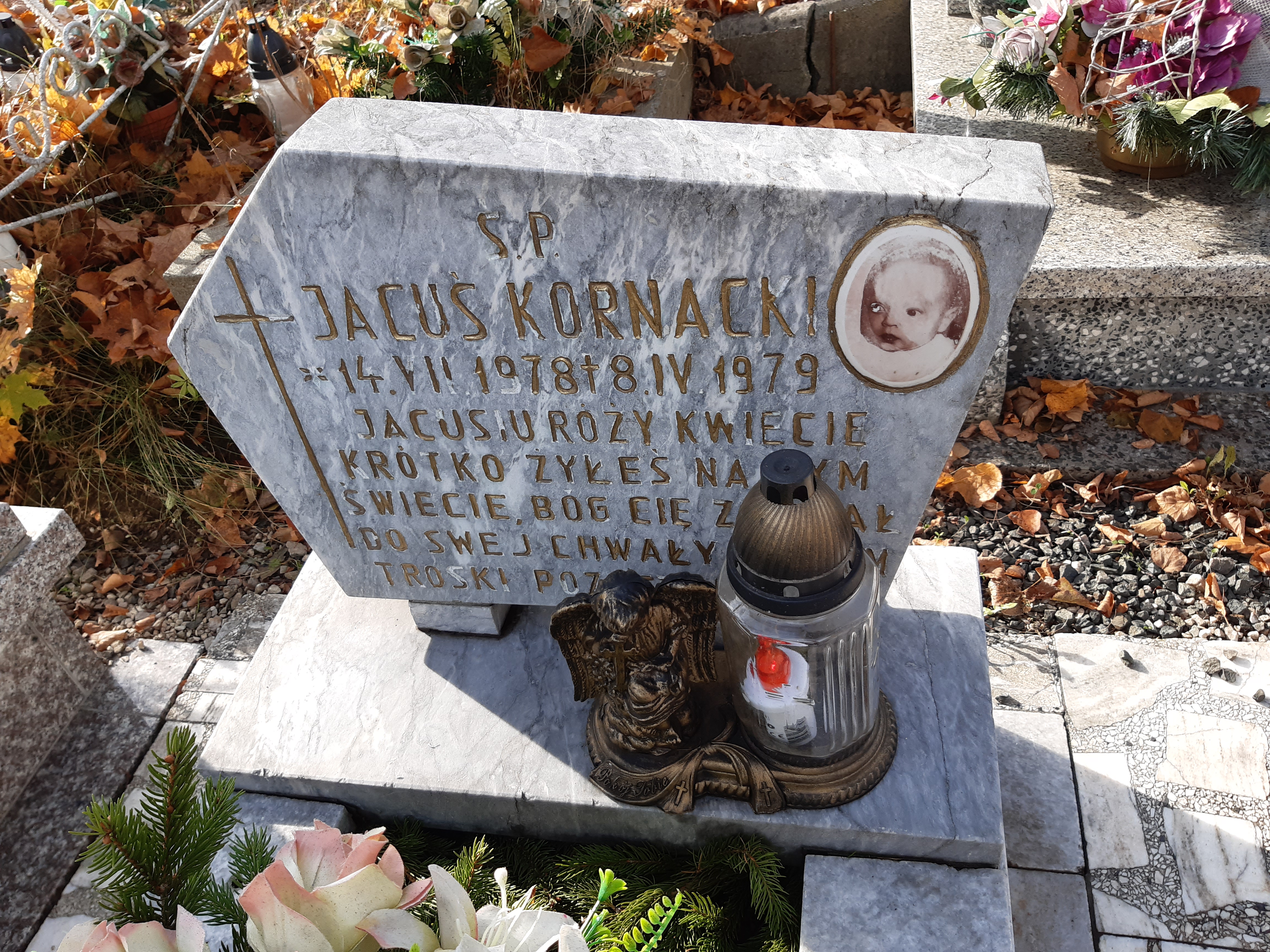 Jacek Kornacki 1978 Kamienna Góra Gmina Miejska - Grobonet - Wyszukiwarka osób pochowanych