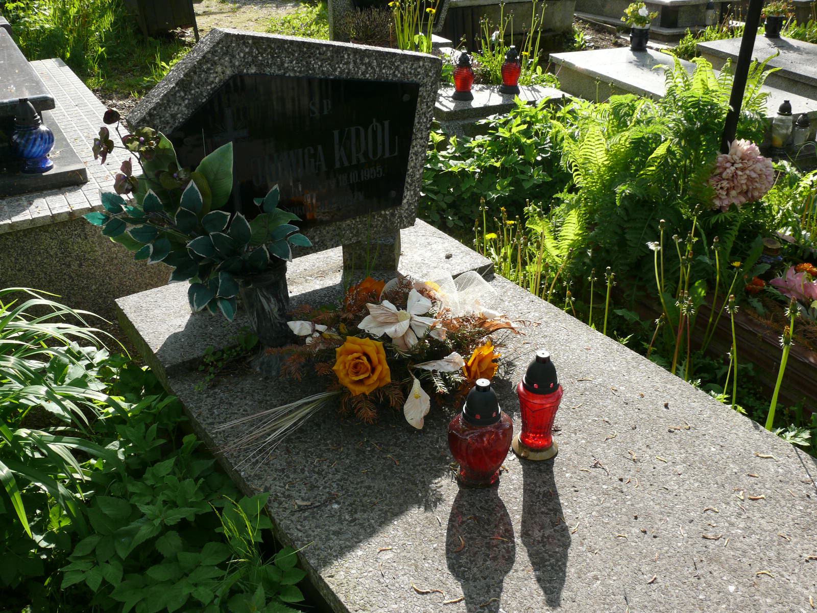 Jadwiga Król 1919 Kamienna Góra Gmina Miejska - Grobonet - Wyszukiwarka osób pochowanych