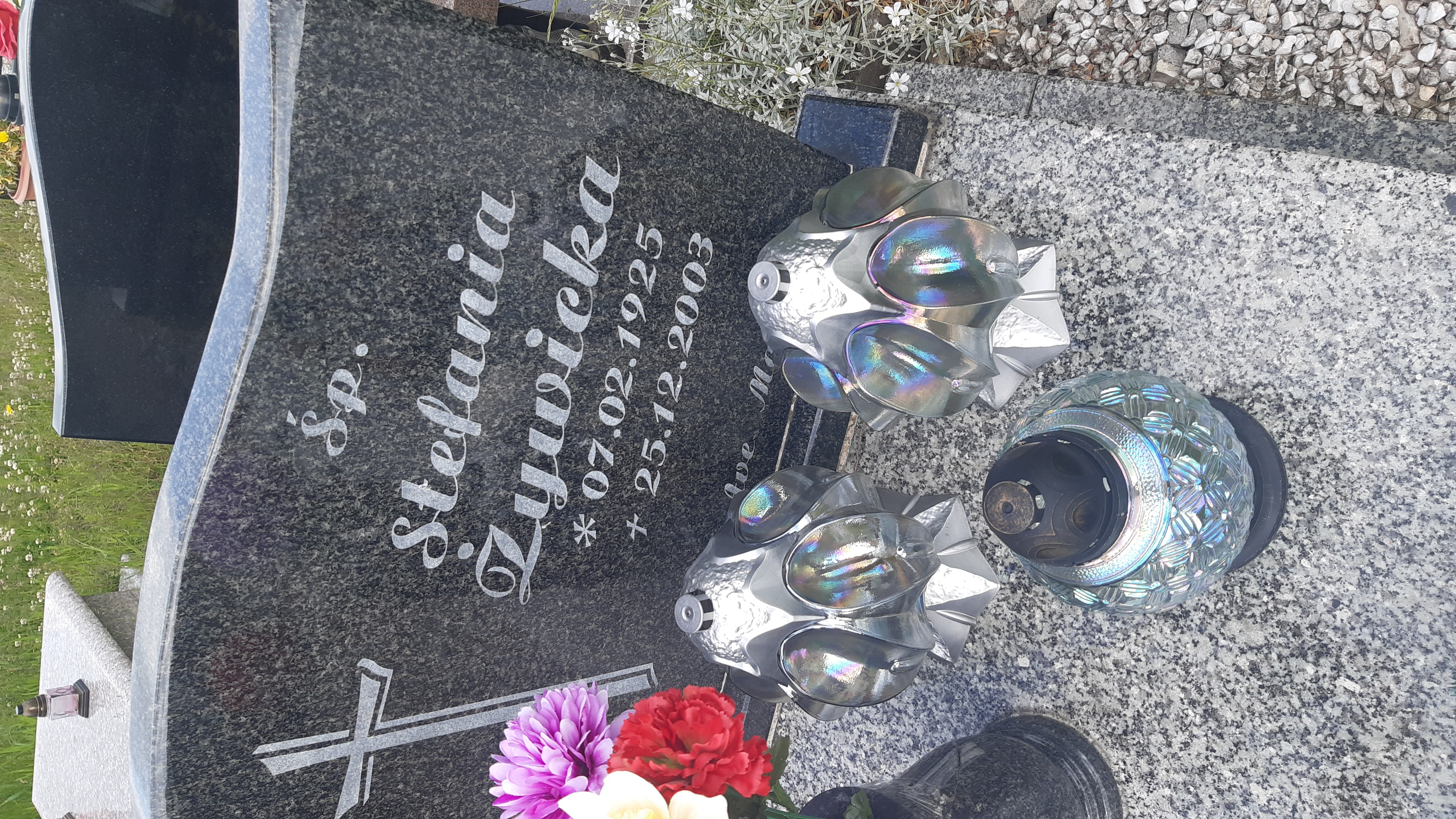 Stefania Żywicka 1925 Kamienna Góra Gmina Miejska - Grobonet - Wyszukiwarka osób pochowanych