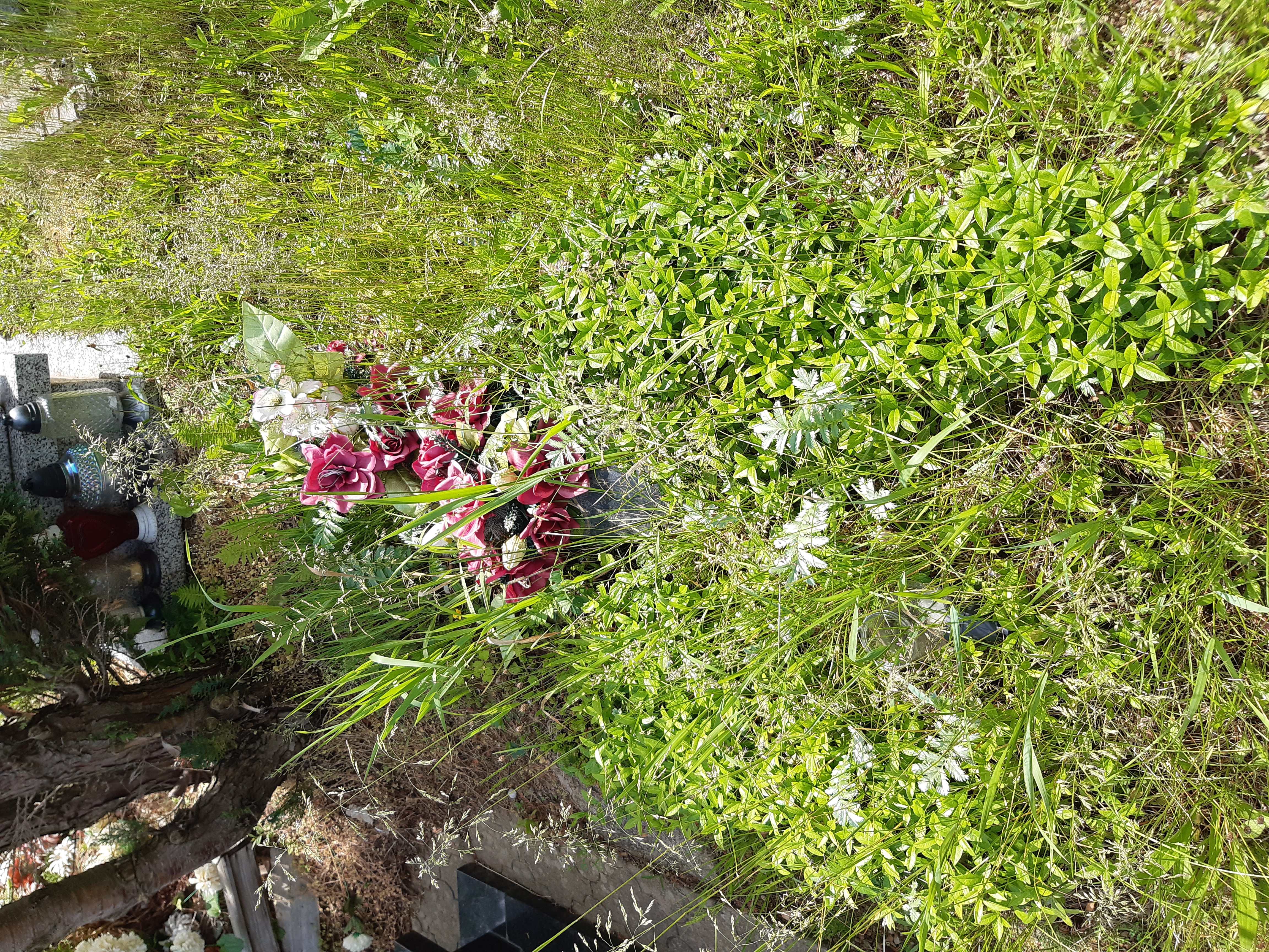 Władysław Nowak 1938 Kamienna Góra Gmina Miejska - Grobonet - Wyszukiwarka osób pochowanych