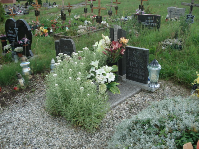 Olga Ryś 1932 Kamienna Góra Gmina Miejska - Grobonet - Wyszukiwarka osób pochowanych